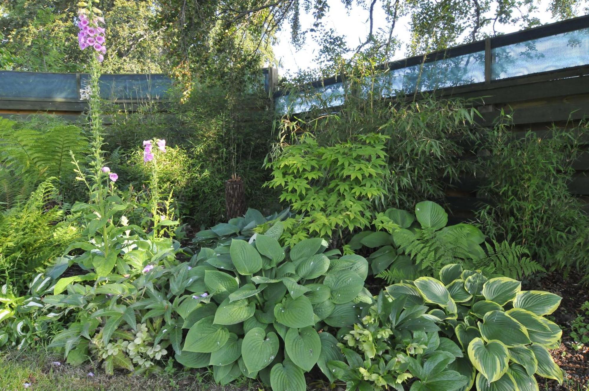 Home Farm Bed And Breakfast Muir of Ord Exterior photo